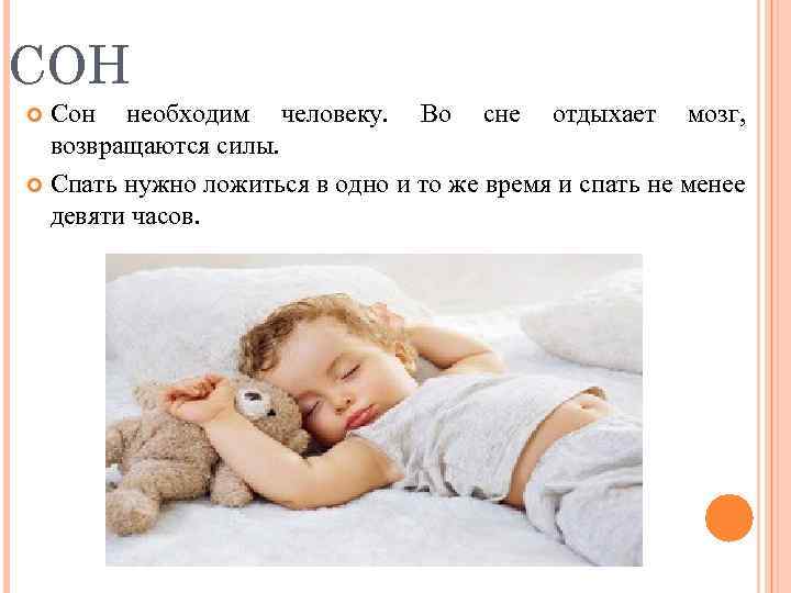 СОН Сон необходим человеку. Во сне отдыхает мозг, возвращаются силы. Спать нужно ложиться в