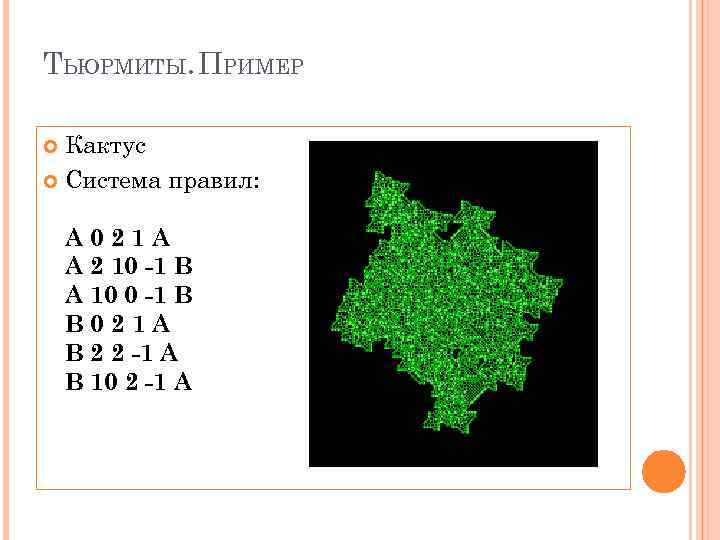 ТЬЮРМИТЫ. ПРИМЕР Кактус Система правил: A 021 A A 2 10 -1 B A