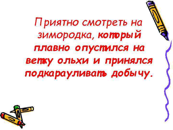 Приятно смотреть на зимородка, который плавно опустился на ветку ольхи и принялся подкарауливать добычу.