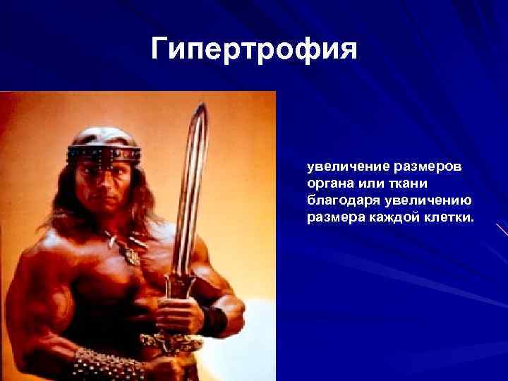 Гипертрофия увеличение размеров органа или ткани благодаря увеличению размера каждой клетки. 