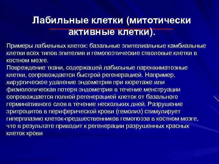 Лабильные клетки (митотически активные клетки). Примеры лабильных клеток: базальные эпителиальные камбиальные клетки всех типов