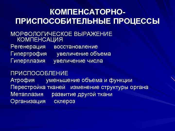 Процессе компенсации. Компенсаторно приспособительные процессы гипертрофия. Регенерация компенсаторно-приспособительные процессы. Компенсаторная регенерация. Стадии компенсаторно-приспособительных процессов.