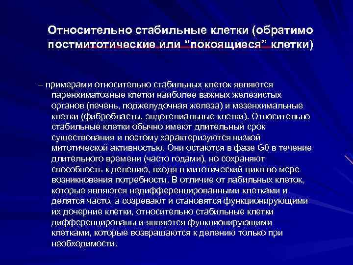 Относительно стабильные клетки (обратимо постмитотические или “покоящиеся” клетки) – примерами относительно стабильных клеток являются