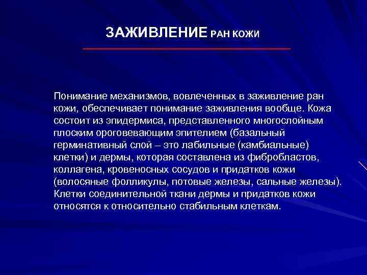 ЗАЖИВЛЕНИЕ РАН КОЖИ Понимание механизмов, вовлеченных в заживление ран кожи, обеспечивает понимание заживления вообще.
