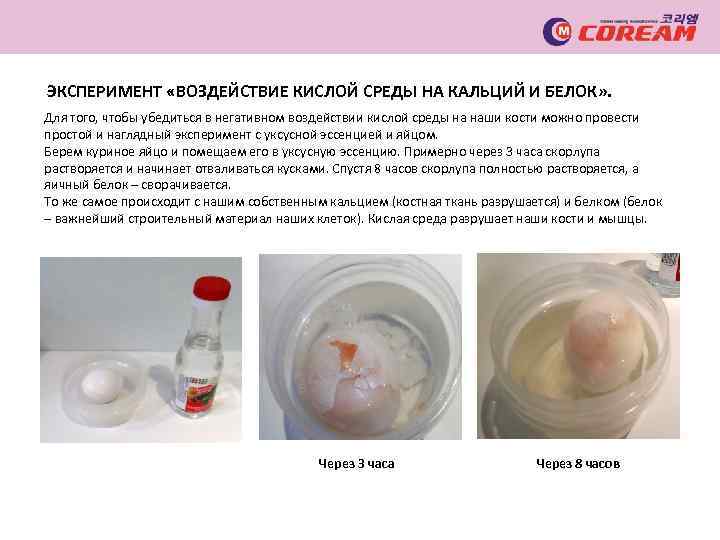 ЭКСПЕРИМЕНТ «ВОЗДЕЙСТВИЕ КИСЛОЙ СРЕДЫ НА КАЛЬЦИЙ И БЕЛОК» . Для того, чтобы убедиться в