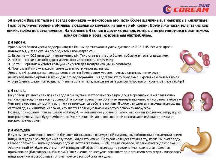 p. H внутри Вашего тела не всегда одинаков — некоторые его части более щелочные,