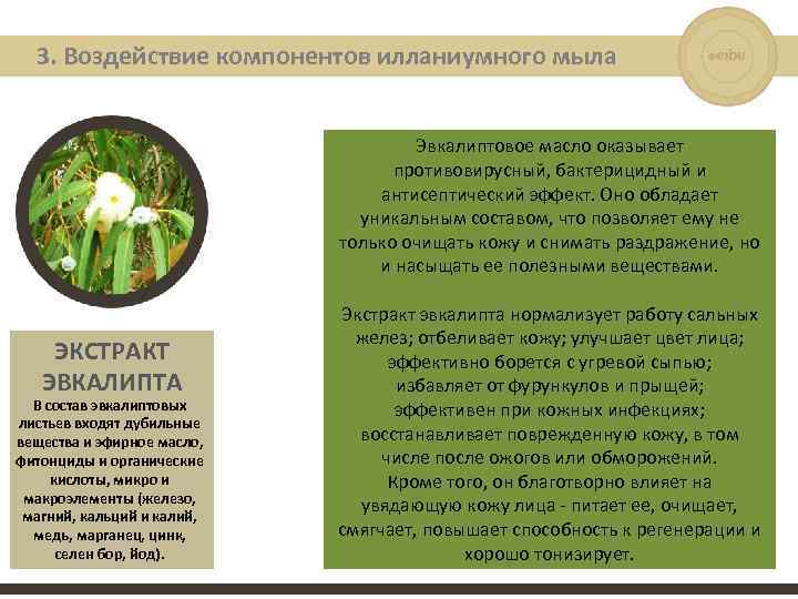 3. Воздействие компонентов илланиумного мыла Эвкалиптовое масло оказывает противовирусный, бактерицидный и антисептический эффект. Оно