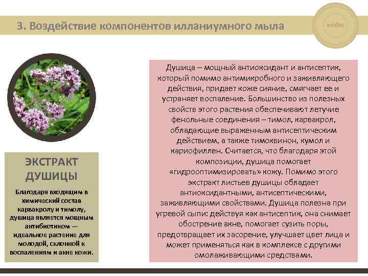3. Воздействие компонентов илланиумного мыла ЭКСТРАКТ ДУШИЦЫ Благодаря входящим в химический состав карвакролу и