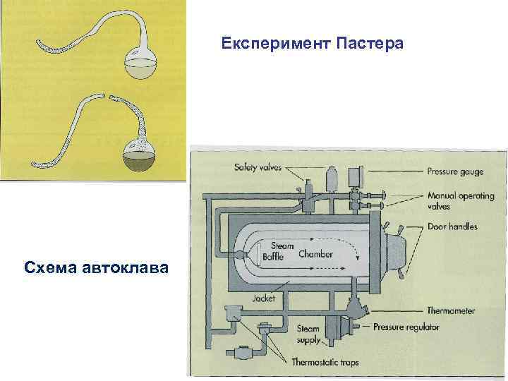 Експеримент Пастера Схема автоклава 
