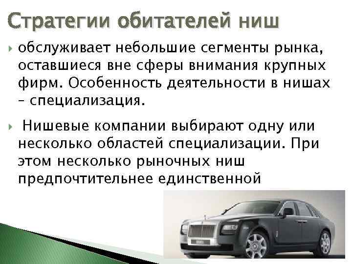 Стратегии обитателей ниш обслуживает небольшие сегменты рынка, оставшиеся вне сферы внимания крупных фирм. Особенность