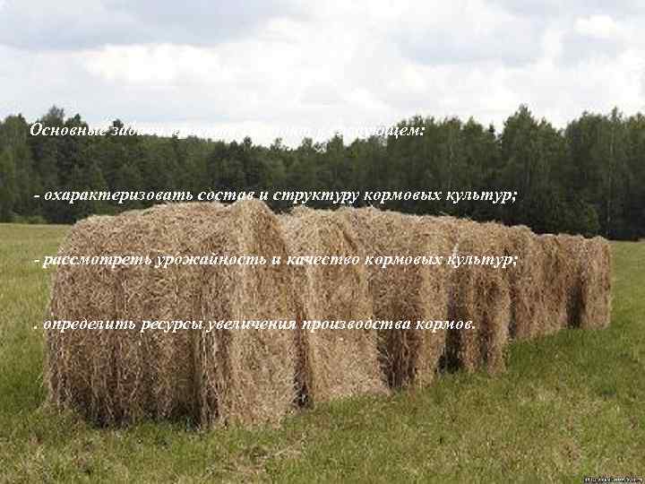 Основные задачи проекта состоят в следующем: - охарактеризовать состав и структуру кормовых культур; -