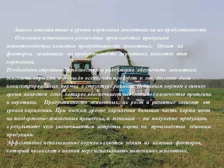 Анализ влияния типа и уровня кормления животных на их продуктивность Основным источником увеличения производства