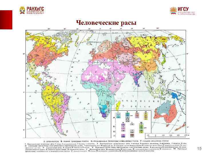 Человеческие расы 15 