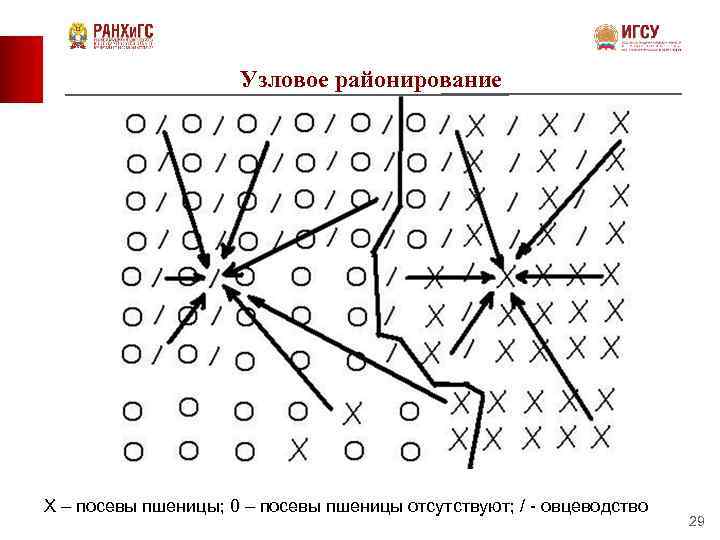 Узловое районирование Х – посевы пшеницы; 0 – посевы пшеницы отсутствуют; / - овцеводство