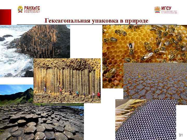 Гексагональная упаковка в природе 31 
