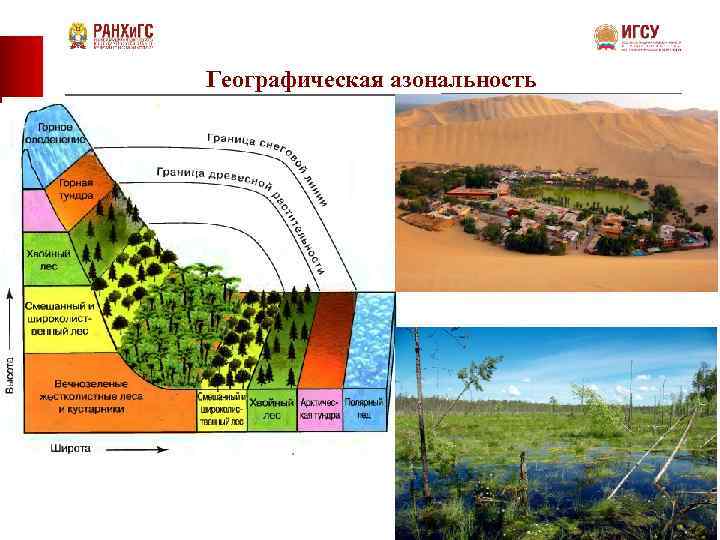 Географическая азональность 9 