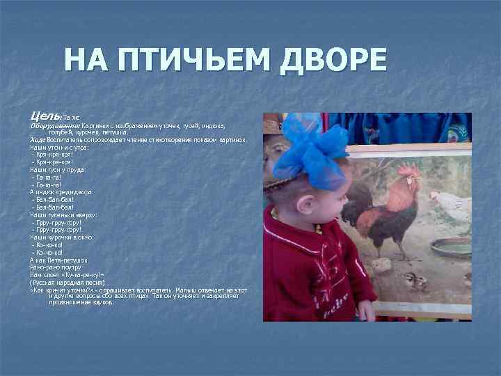 НА ПТИЧЬЕМ ДВОРЕ Цель: Та же Оборудование: Картинки с изображением уточек, гусей, индюка, голубей,