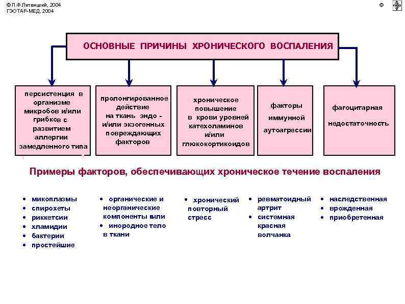© П. Ф. Литвицкий, 2004 ГЭОТАР-МЕД, 2004 © ОСНОВНЫЕ ПРИЧИНЫ ХРОНИЧЕСКОГО ВОСПАЛЕНИЯ персистенция в