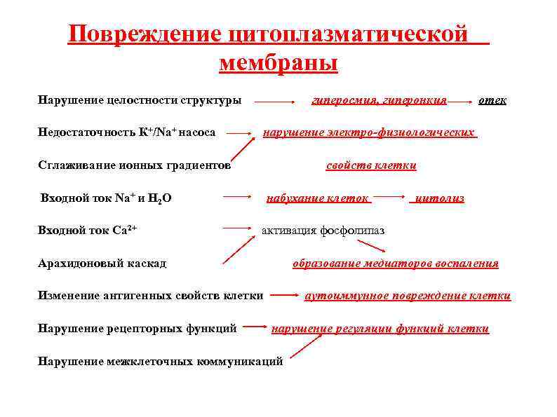 Повреждение цитоплазматической мембраны Нарушение целостности структуры гиперосмия, гиперонкия отек Недостаточность К+/Na+ насоса нарушение электро-физиологических