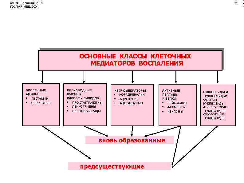 © П. Ф. Литвицкий, 2004 ГЭОТАР-МЕД, 2004 © ОСНОВНЫЕ КЛАССЫ КЛЕТОЧНЫХ МЕДИАТОРОВ ВОСПАЛЕНИЯ БИОГЕННЫЕ