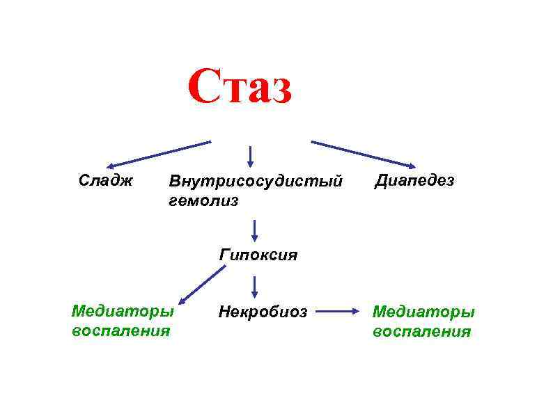 Стаз Сладж Внутрисосудистый гемолиз Диапедез Гипоксия Медиаторы воспаления Некробиоз Медиаторы воспаления 