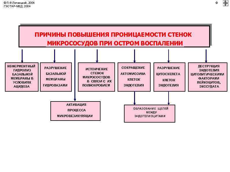 © П. Ф. Литвицкий, 2004 ГЭОТАР-МЕД, 2004 © ПРИЧИНЫ ПОВЫШЕНИЯ ПРОНИЦАЕМОСТИ СТЕНОК МИКРОСОСУДОВ ПРИ