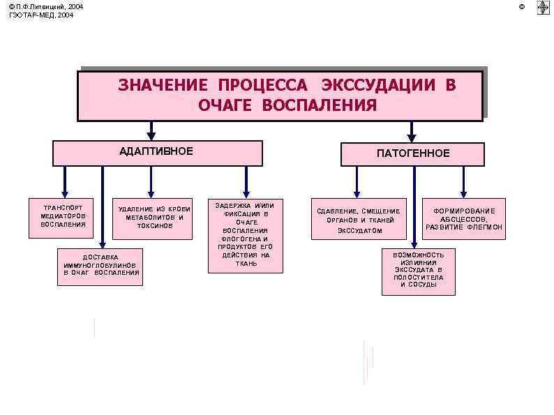 © П. Ф. Литвицкий, 2004 ГЭОТАР-МЕД, 2004 © ЗНАЧЕНИЕ ПРОЦЕССА ЭКССУДАЦИИ В ОЧАГЕ ВОСПАЛЕНИЯ