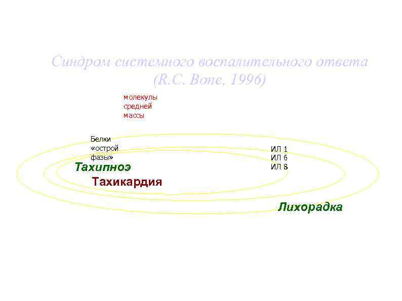 Синдром системного воспалительного ответа (R. C. Bone, 1996) молекулы средней массы Белки «острой фазы»