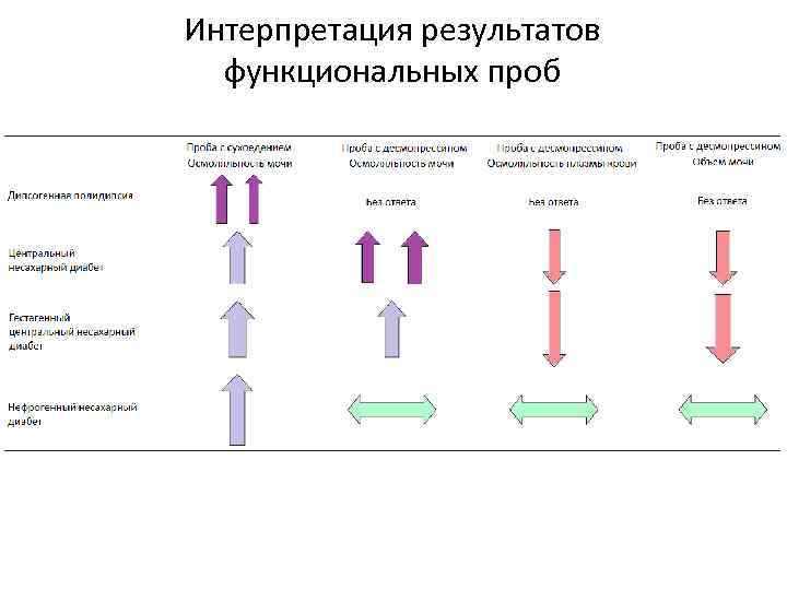 Интерпретация результатов функциональных проб 