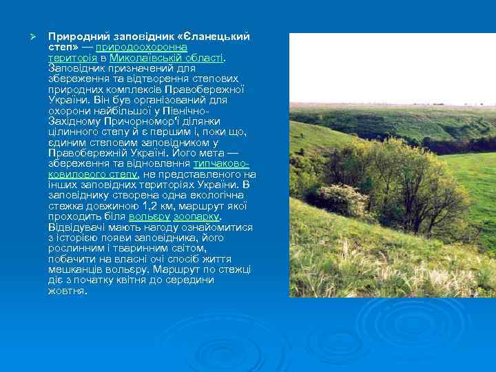 Ø Природний заповідник «Єланецький степ» — природоохоронна територія в Миколаївській області. Заповідник призначений для