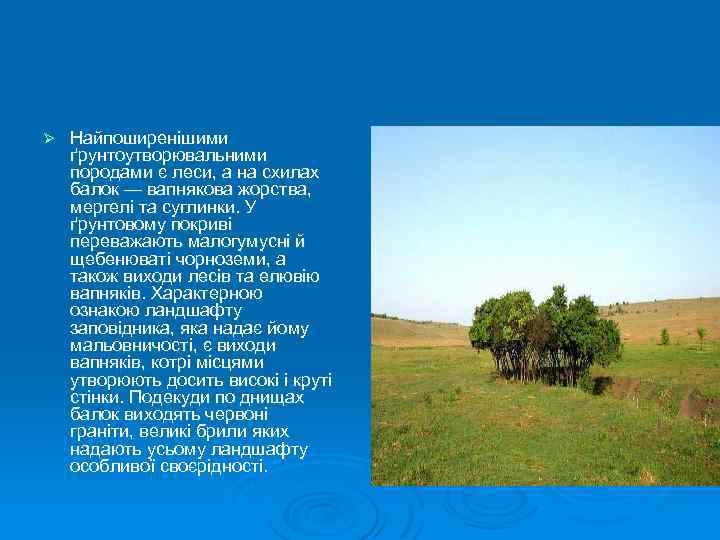 Ø Найпоширенішими ґрунтоутворювальними породами є леси, а на схилах балок — вапнякова жорства, мергелі