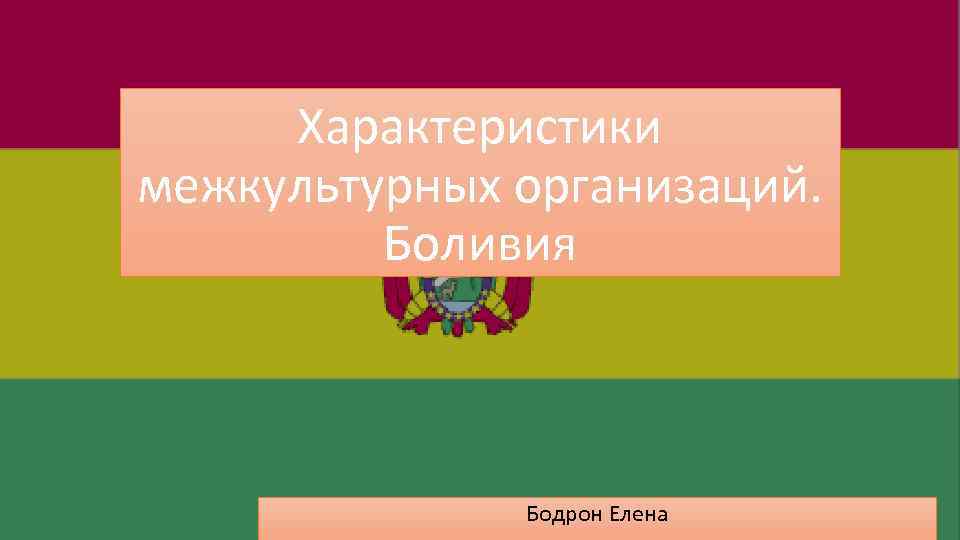 Характеристики межкультурных организаций. Боливия Бодрон Елена 
