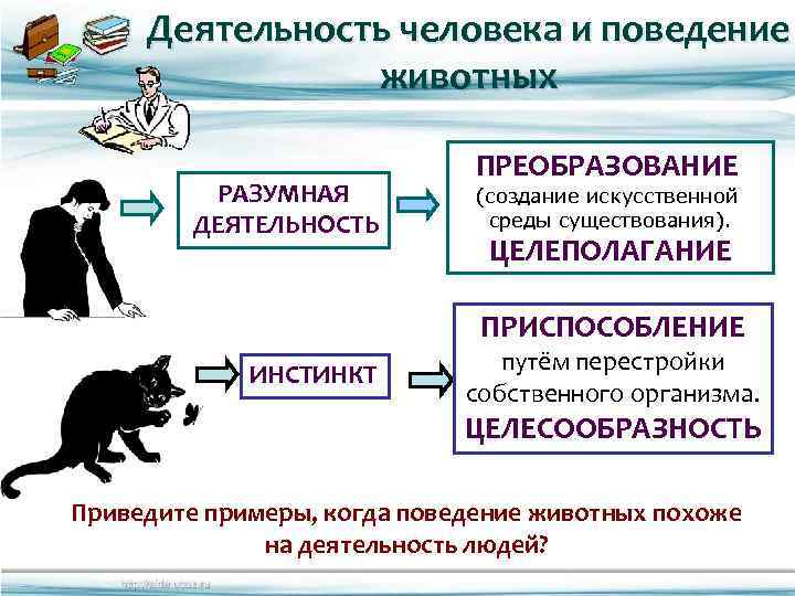 Деятельность человека и поведение животных РАЗУМНАЯ ДЕЯТЕЛЬНОСТЬ ПРЕОБРАЗОВАНИЕ (создание искусственной среды существования). ЦЕЛЕПОЛАГАНИЕ ПРИСПОСОБЛЕНИЕ