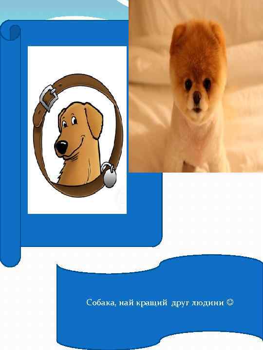 Сосорпапапп Собака, най кращий друг людини 