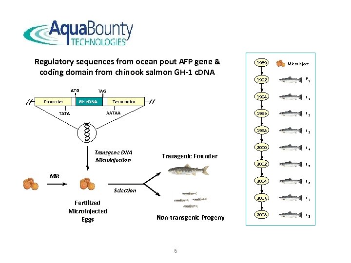 Regulatory sequences from ocean pout AFP gene & coding domain from chinook salmon GH-1
