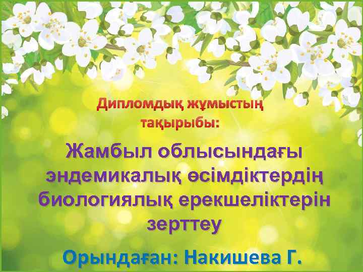 Дипломдық жұмыстың тақырыбы: Жамбыл облысындағы эндемикалық өсімдіктердің биологиялық ерекшеліктерін зерттеу Орындаған: Накишева Г. 