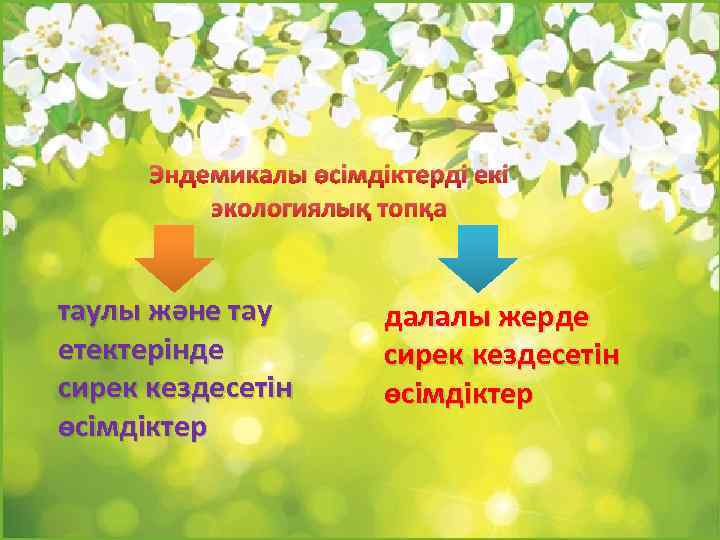 Эндемикалы өсімдіктерді екі экологиялық топқа таулы және тау етектерінде сирек кездесетін өсімдіктер далалы жерде