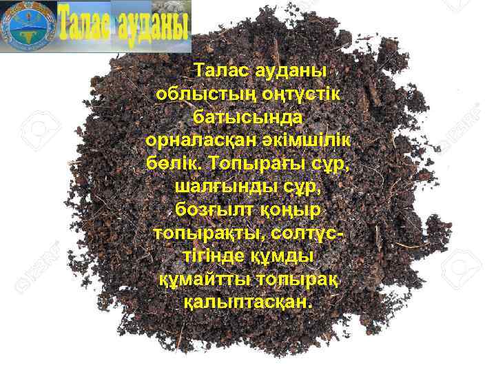 Талас ауданы облыстың оңтүстік батысында орналасқан әкімшілік бөлік. Топырағы сұр, шалғынды сұр, бозғылт қоңыр