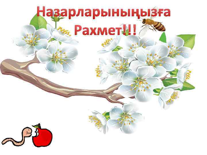 Назарларыныңызға Рахмет!!! 