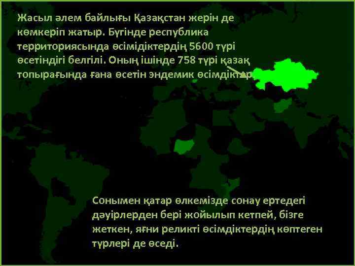 Жасыл әлем байлығы Қазақстан жерін де көмкеріп жатыр. Бүгінде республика территориясында өсімідіктердің 5600 түрі