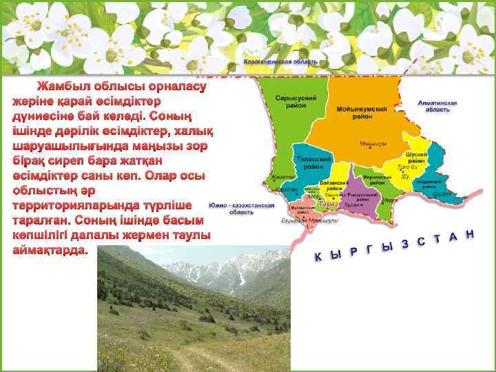 Жамбыл облысы орналасу жеріне қарай өсімдіктер дүниесіне бай келеді. Соның ішінде дәрілік өсімдіктер, халық