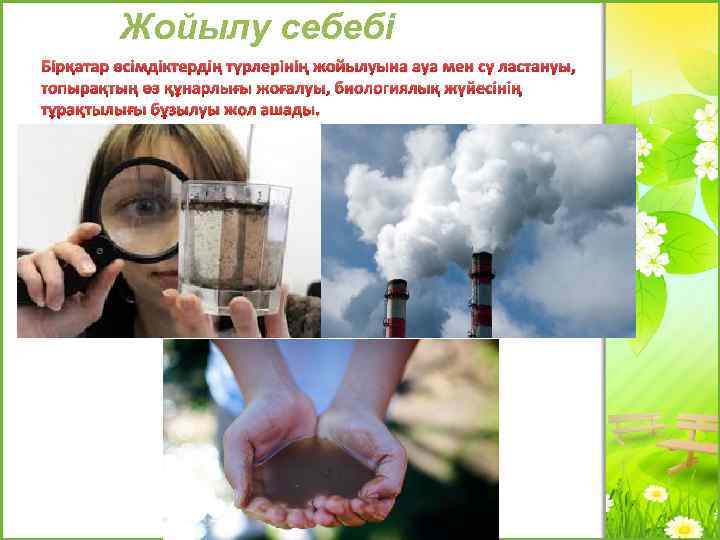 Жойылу себебі Бірқатар өсімдіктердің түрлерінің жойылуына ауа мен су ластануы, топырақтың өз құнарлығы жоғалуы,