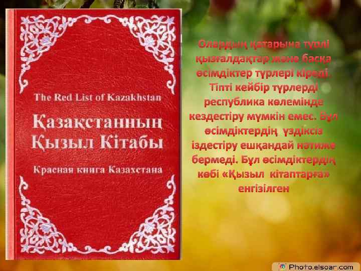 Олардың қатарына түрлі қызғалдақтар және басқа өсімдіктер түрлері кіреді. Тіпті кейбір түрлерді республика көлемінде