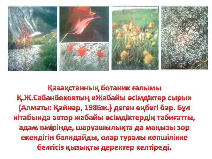 Қазақстанның ботаник ғалымы Қ. Ж. Сабанбековтың «Жабайы өсімдіктер сыры» (Алматы: Қайнар, 1986 ж. )