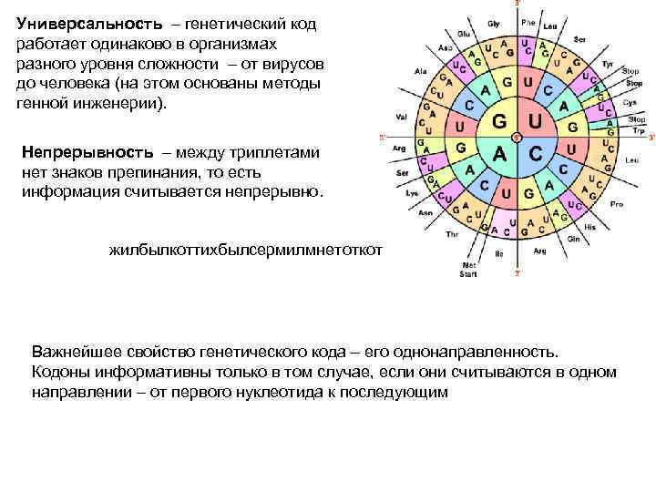 Генетический код это