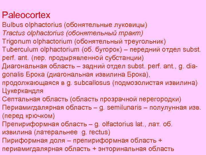 Paleocortex Bulbus olphactorius (обонятельные луковицы) Tractus olphactorius (обонятельный тракт) Trigonum olphactorium (обонятельный треугольник) Tuberculum