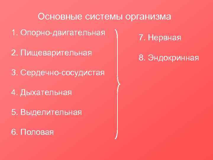 Основные системы организма 1. Опорно-двигательная 2. Пищеварительная 3. Сердечно-сосудистая 4. Дыхательная 5. Выделительная 6.