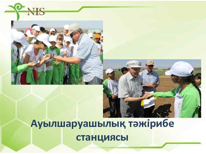 Ауылшаруашылық тәжірибе станциясы 