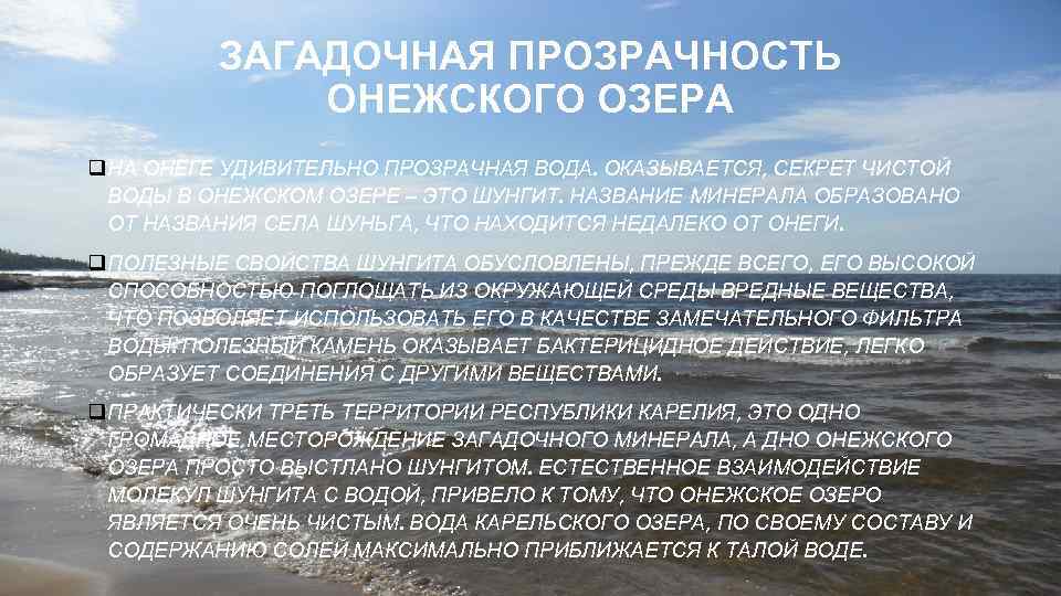 ЗАГАДОЧНАЯ ПРОЗРАЧНОСТЬ ОНЕЖСКОГО ОЗЕРА q НА ОНЕГЕ УДИВИТЕЛЬНО ПРОЗРАЧНАЯ ВОДА. ОКАЗЫВАЕТСЯ, СЕКРЕТ ЧИСТОЙ ВОДЫ