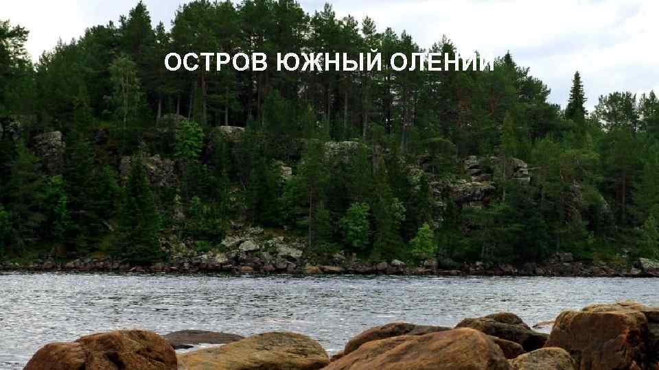 ОСТРОВ ЮЖНЫЙ ОЛЕНИЙ 